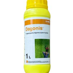 Dagonis 1L